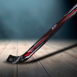 Sticks de goleiro